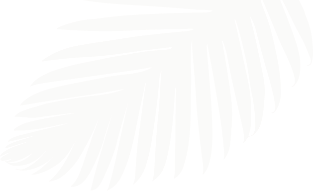 Bg img Decor